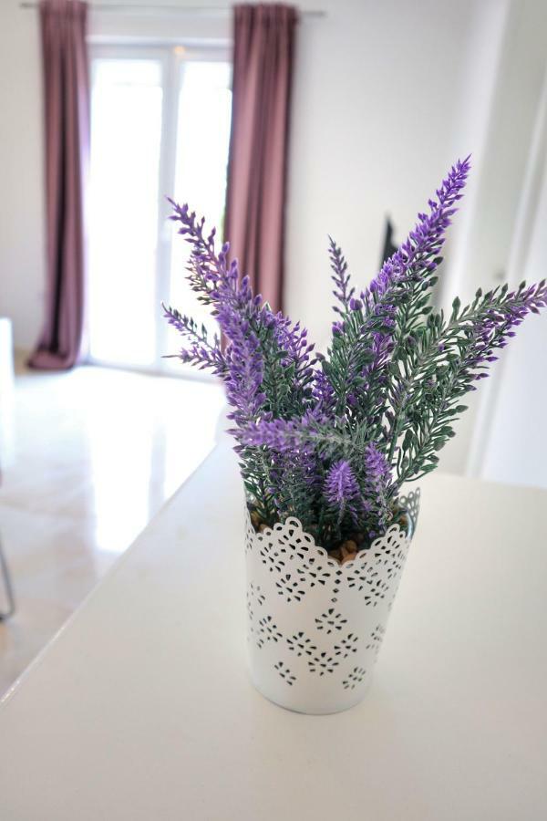 זאדאר Apartment Velvet מראה חיצוני תמונה